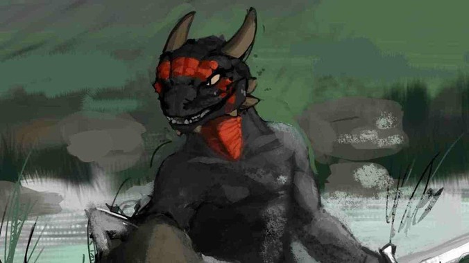 新手养鱼，鱼缸中能放入哪些水草？